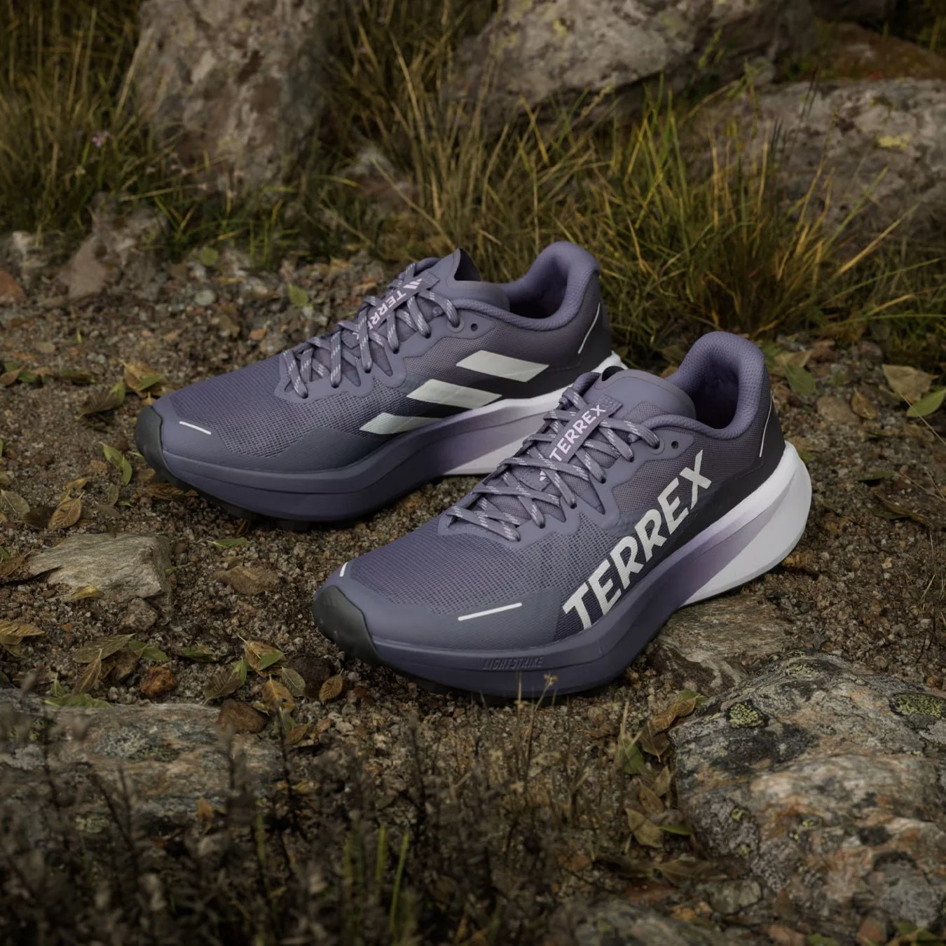 Adidas Terrex Womens Agravic 3 Trail Running Shoes Preloved Violet / Grey One / Powder Plum - Image 3